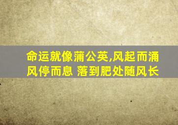 命运就像蒲公英,风起而涌 风停而息 落到肥处随风长